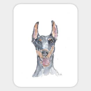 Doberman Pinscher Sticker